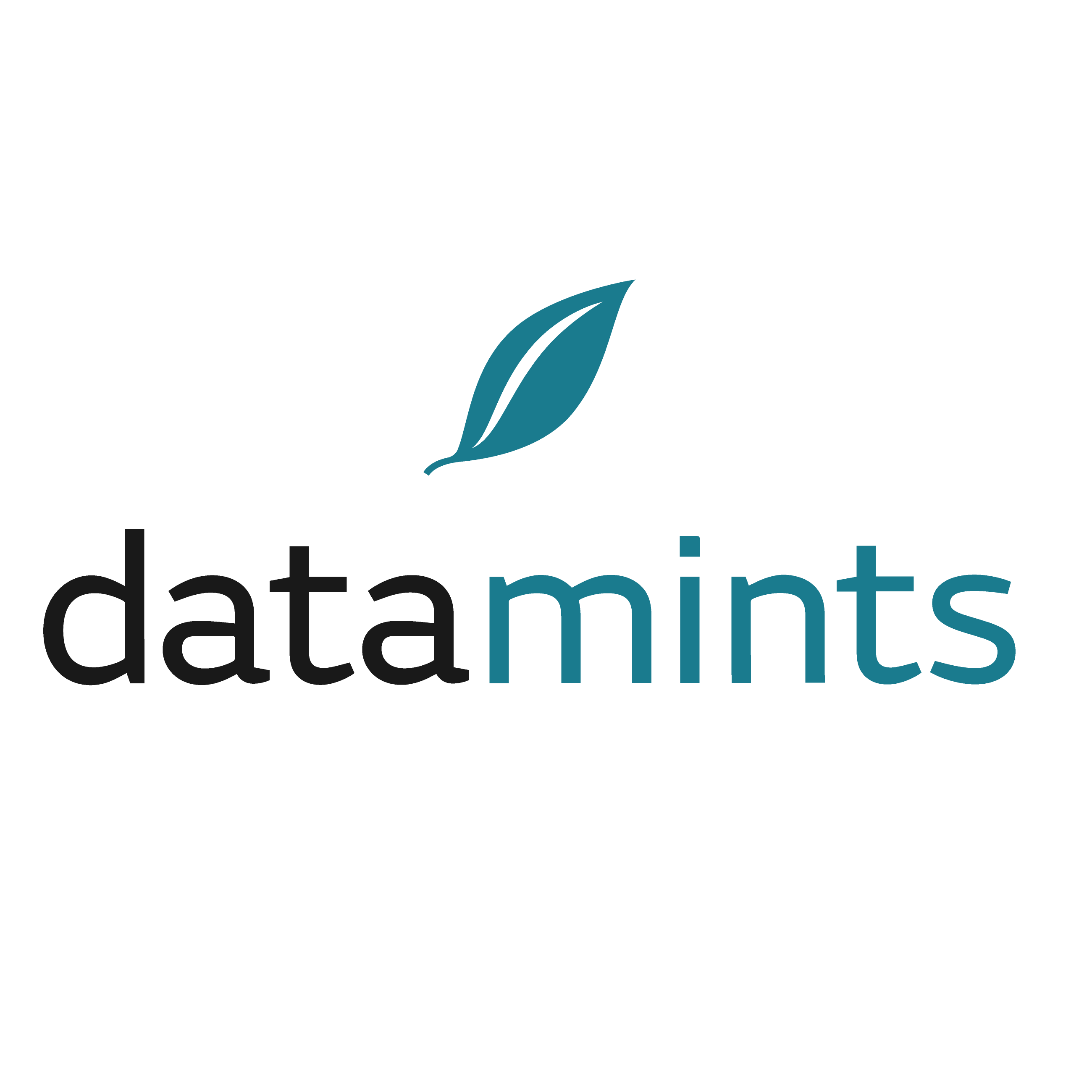 datamints GmbH