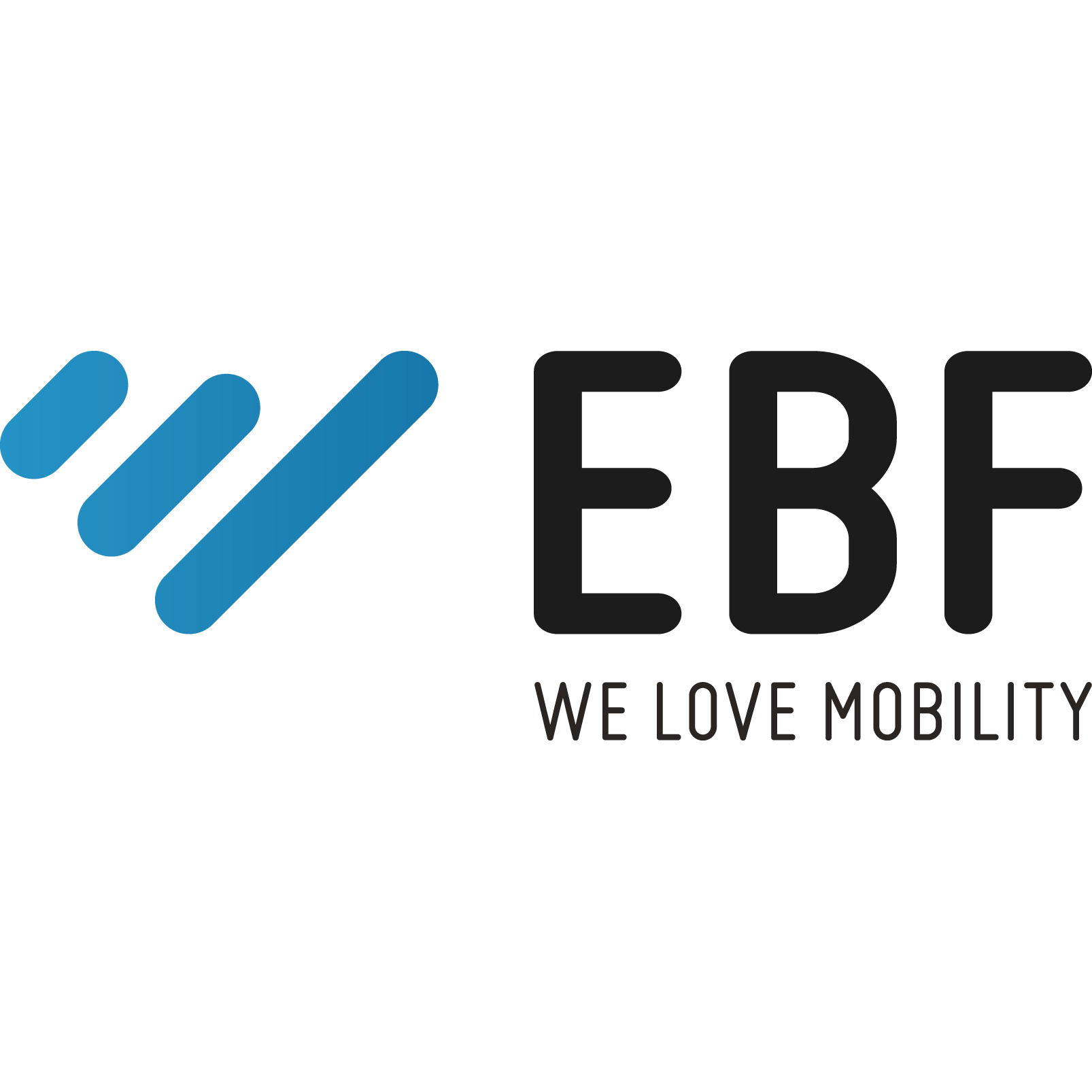EBF EDV-Beratung Föllmer GmbH